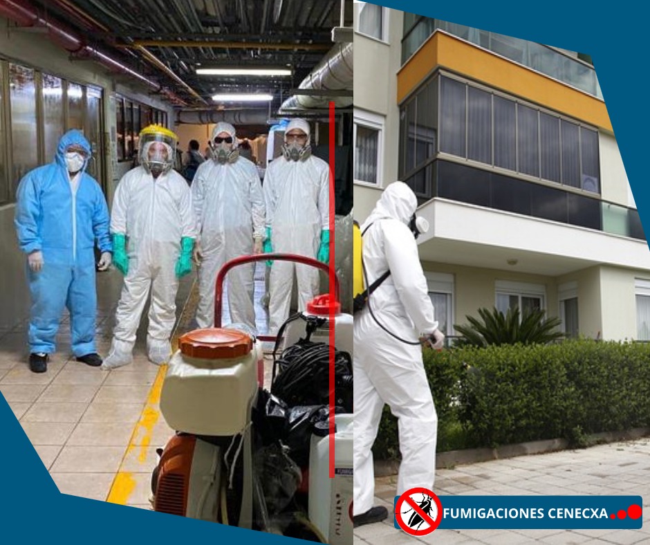 Desinfeccion comercial