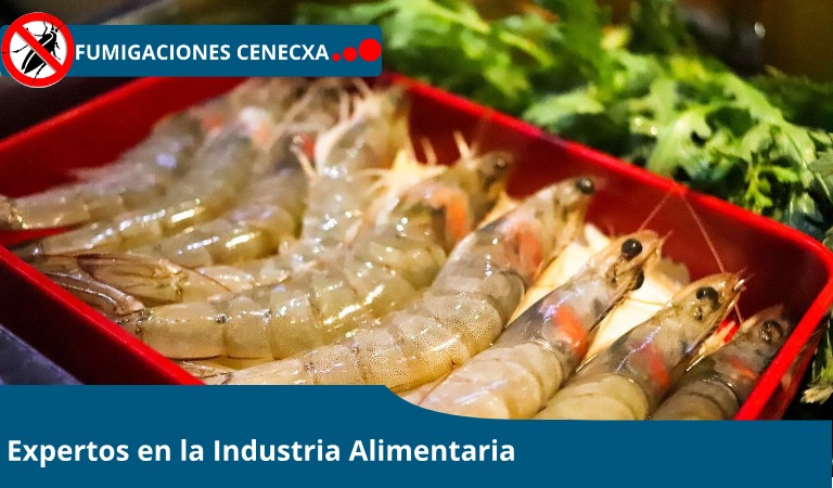 Control de plagas en la manufactura