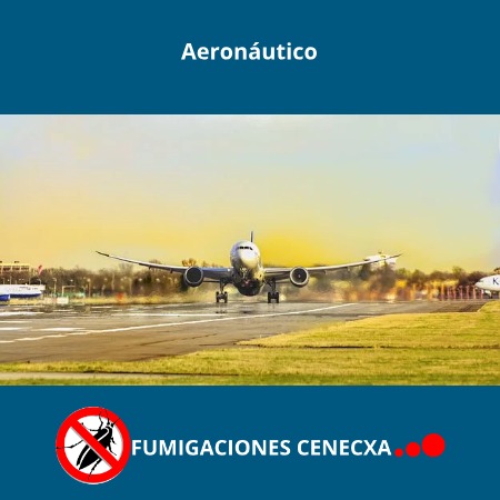 Control de plagas en aviones