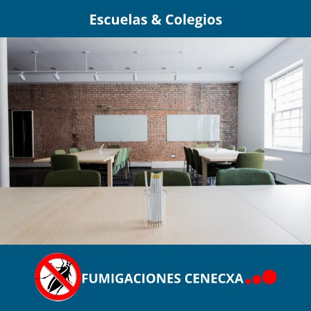 Control de plagas en Tiendas de escuelas