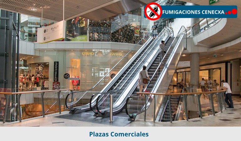 Control de plagas en la manufactura